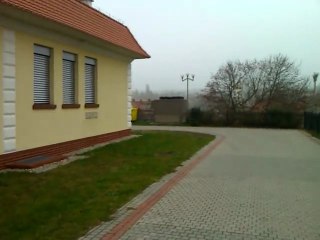 Zielona Góra widok Palmiarni