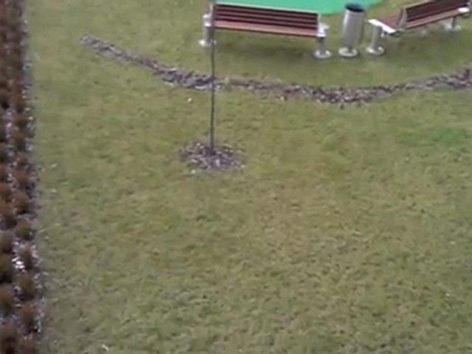 HTC 7 Mozart VGA test