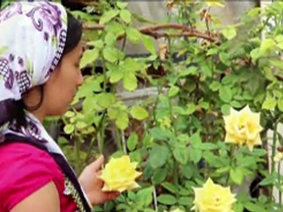 Ali Rıza Buran Darendeli