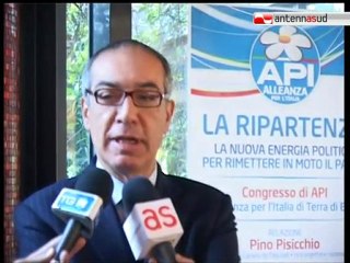 TG 19.11.11 Primo Congresso Provinciale Api: "Ripartire da un maggiore senso di responsabilità"