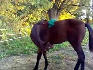 Bébou 6 mois, et toujours aussi sympa!!