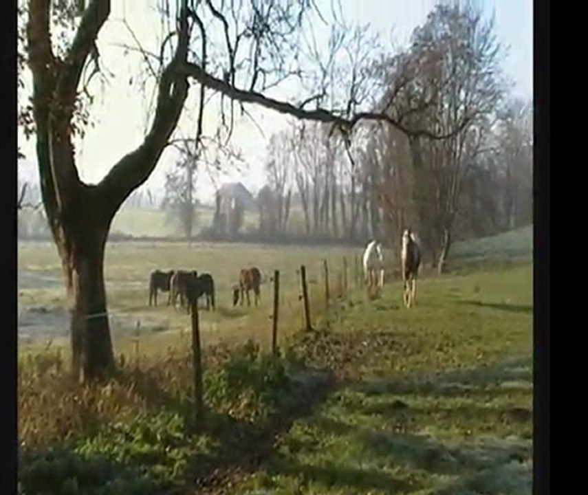 Aloha 19 novembre 2011 (1)