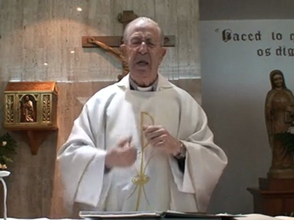 homilía 19-11-2011
