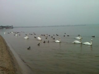 Zegrze-Zalew  cz,3