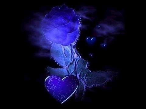 ELİF REYYA NAZ-NEVİN KOÇOĞLU KRAL SUYU