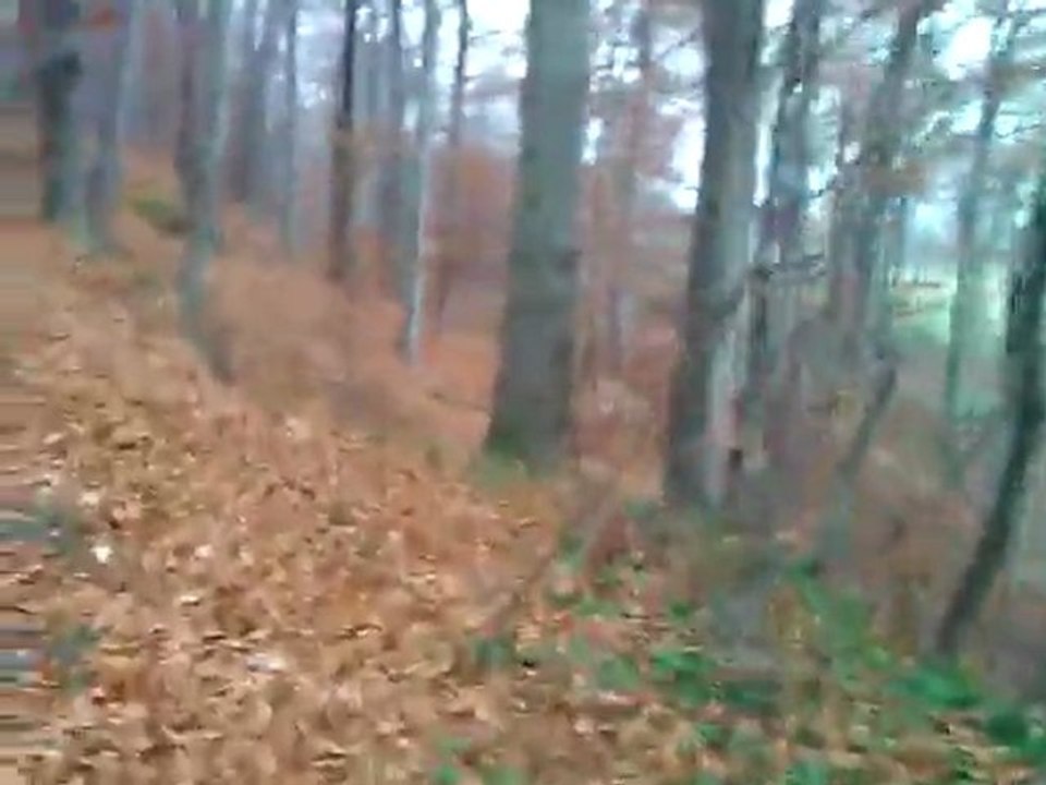 WP_20111119_141418Z