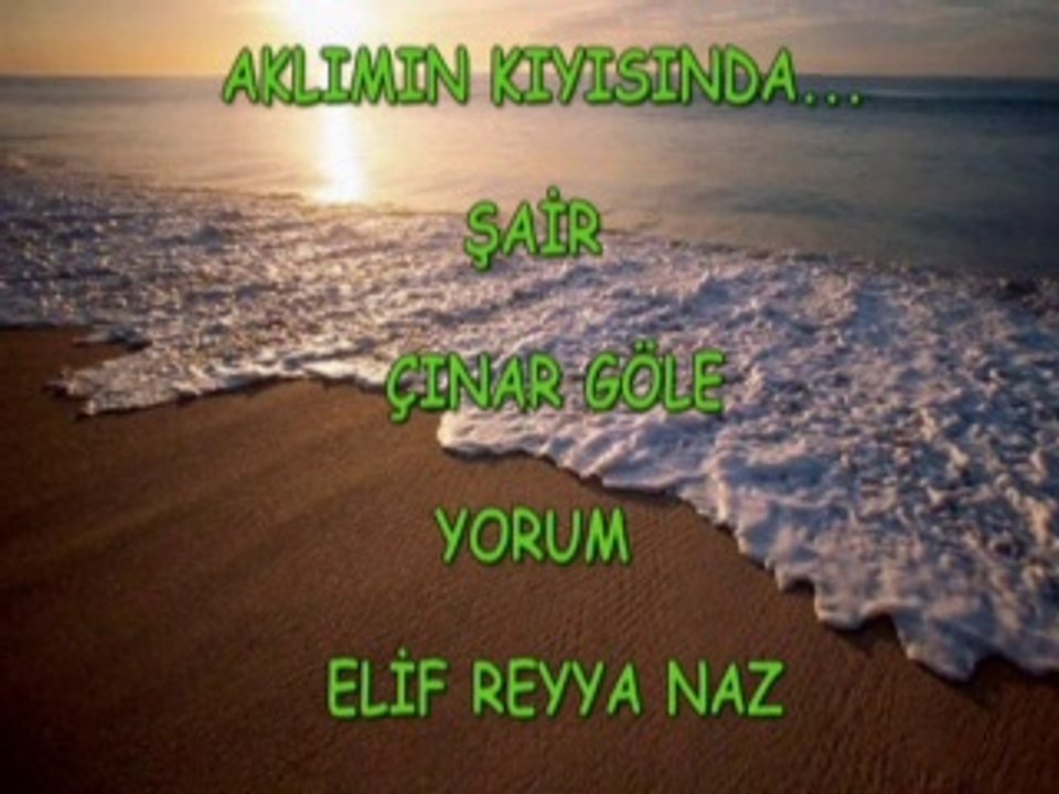 ELİF REYYA NAZ-ÇINAR GÖLE     AKLIMIN KIYISINDA