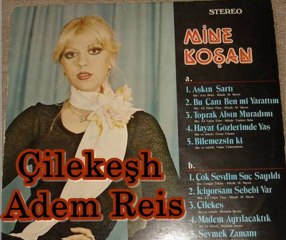 Mine Koşan - Sevmek Zamanı