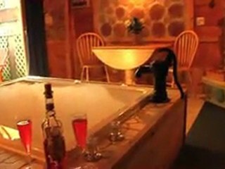 Best Lake Geneva Hotel