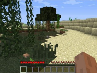 Présentation Minecraft 1.0.0