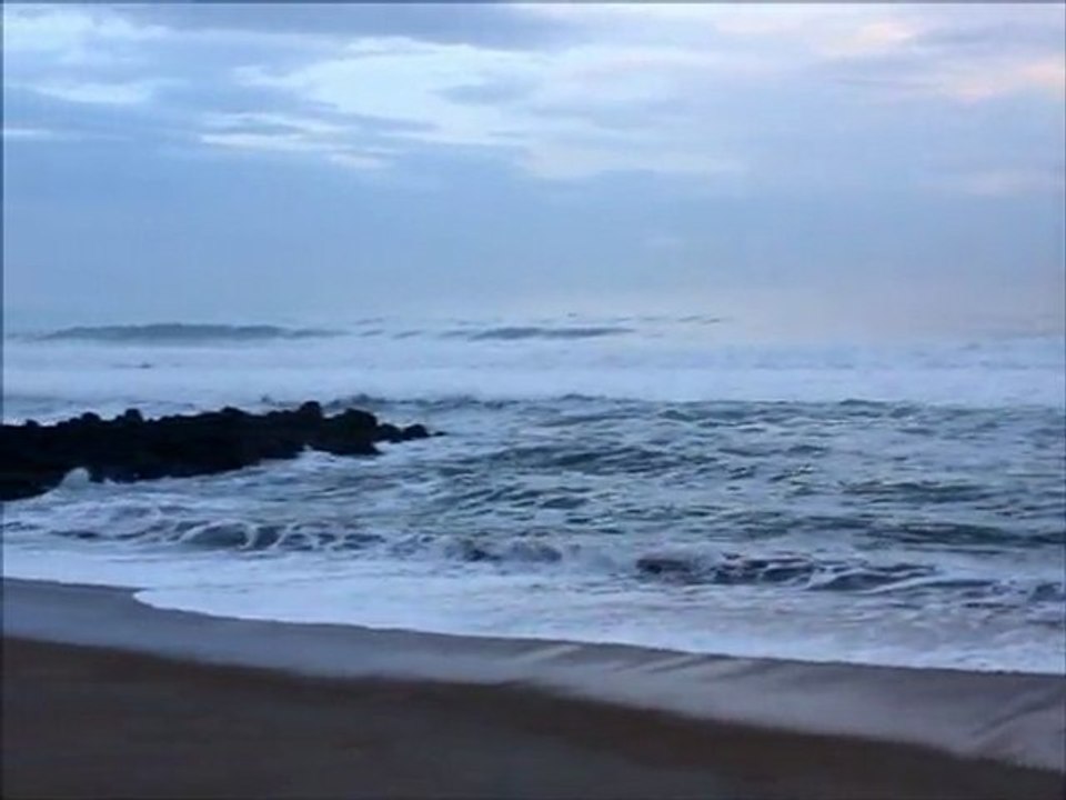 surf report du matin