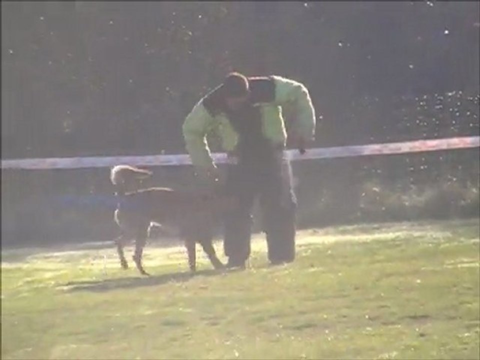 Eyak des loups des dunes