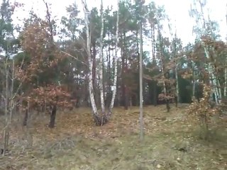 Dookoła miejsca w którym mieszkam