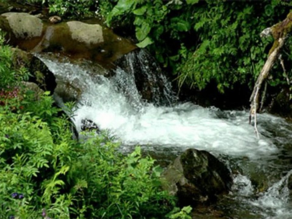 Georges Brassens-Dans l'eau de la claire fontaine