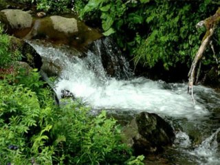 Georges Brassens-Dans l'eau de la claire fontaine