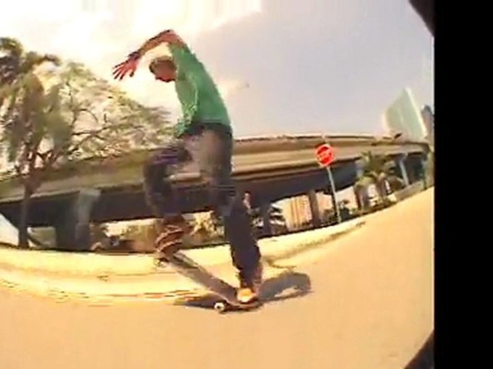 Zoo York-State of mind