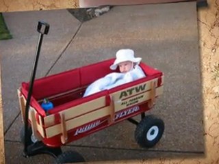 Radio Flyer 32S All-Terrain Steel and Wood Wagon - ...