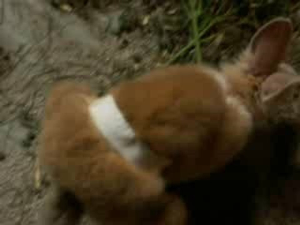 20060901Funny 5