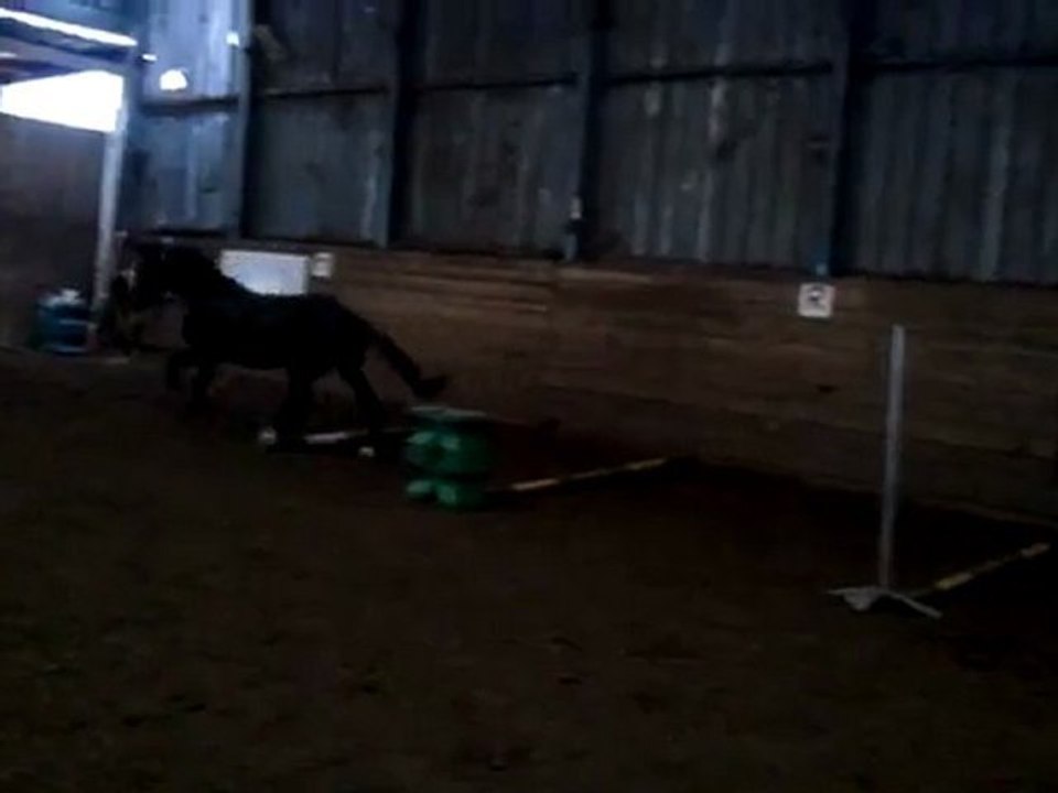 Rico première ligne en liberté 1