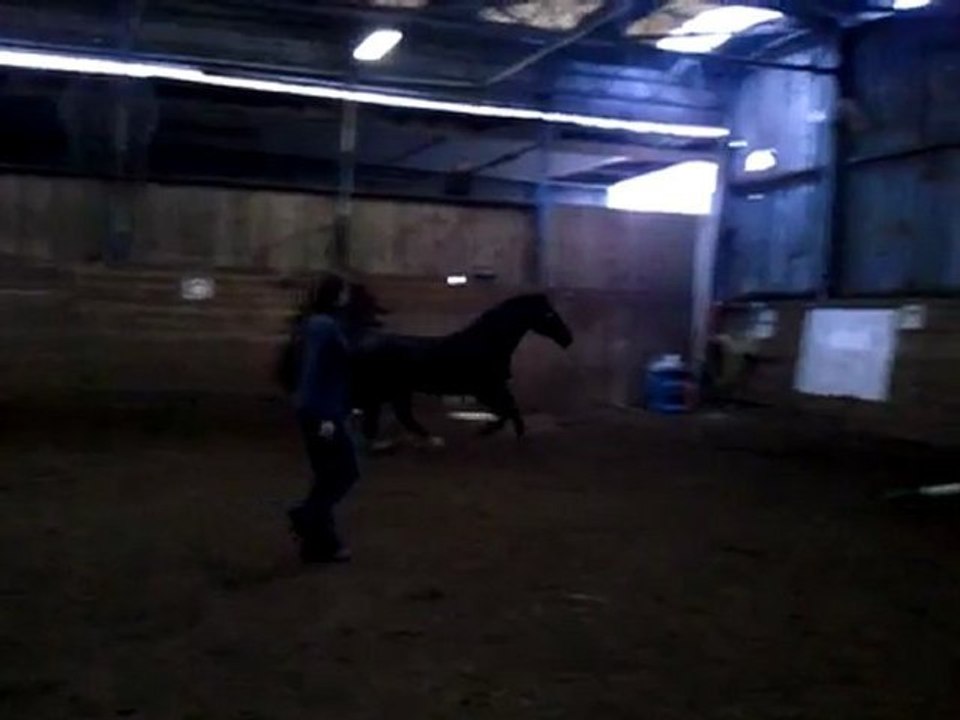 Rico première ligne en liberté 2