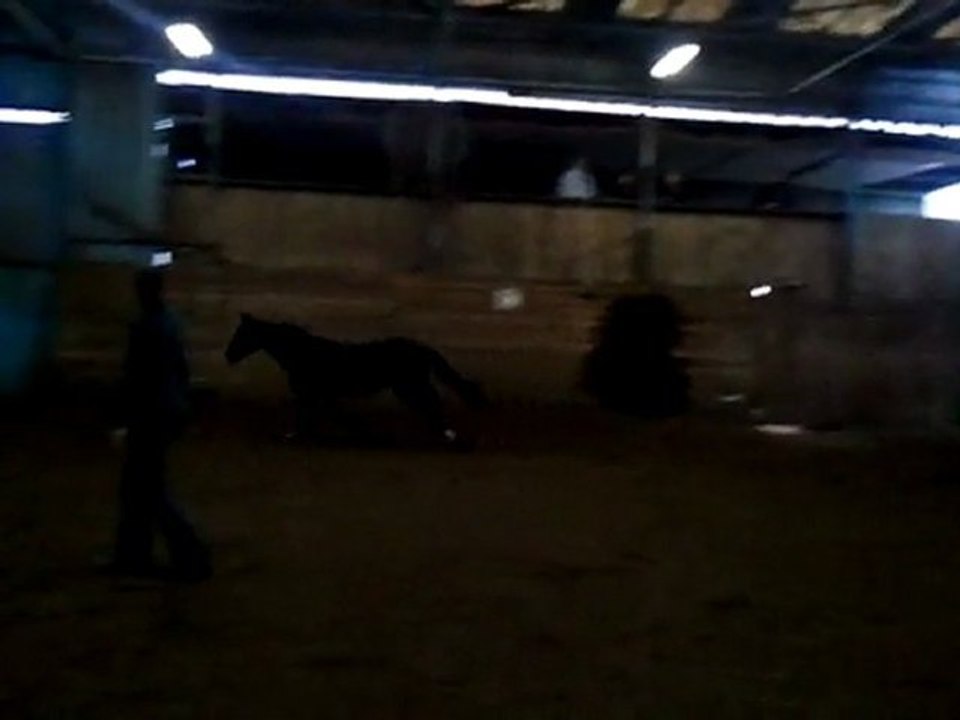 Rico première ligne en liberté 3