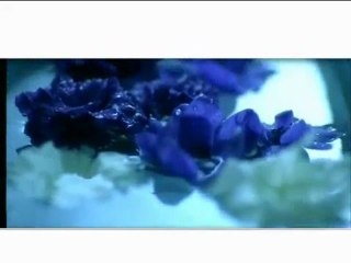 Ebru GÜNDEŞ   (Teşekkür Ederim)