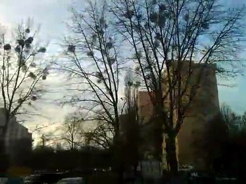 Żoliborz z okna tramwaju