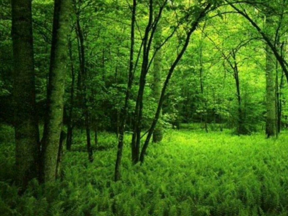 Benide alın yanınıza, benide,,şiir ve yorum..Nevin Işık