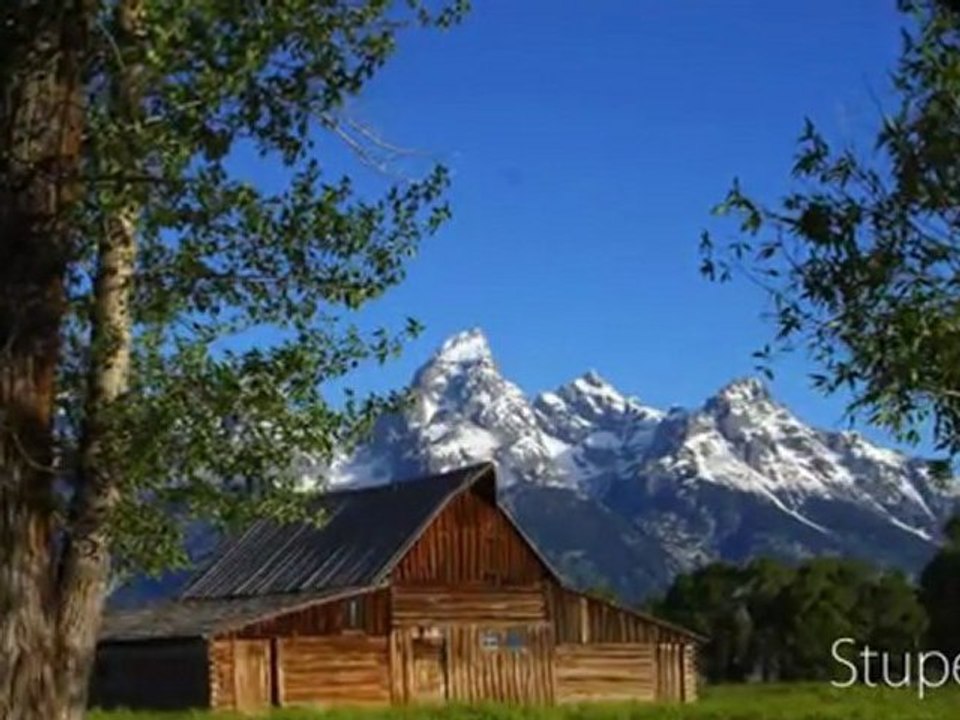 Jean-Luc Pouchet Collection MPS auto website submitter proposes selected link directories to preserve the quality of submissions.