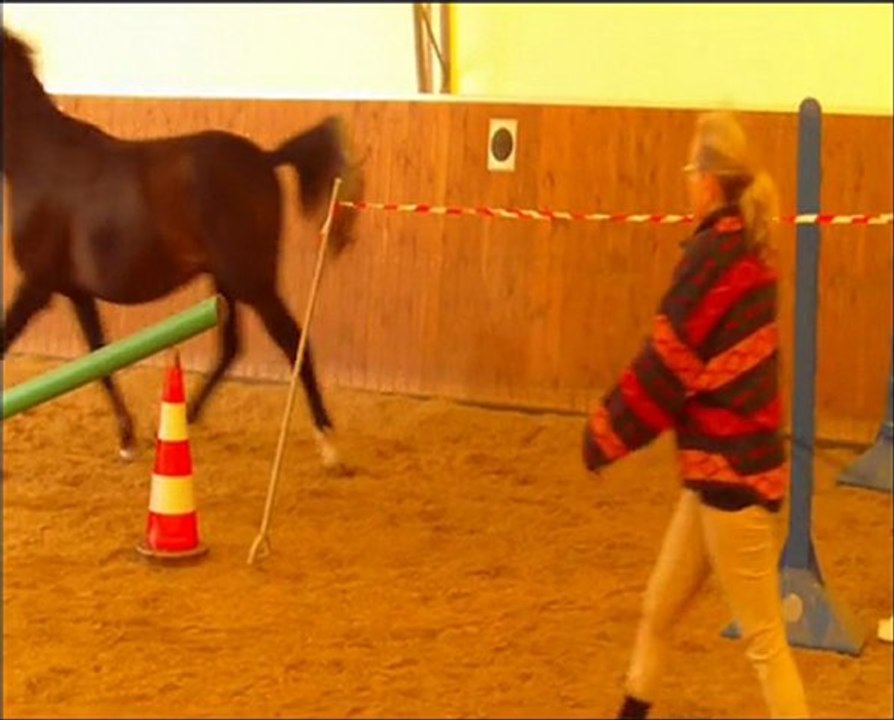 Louis' erstes Freispringen - Beatsticks