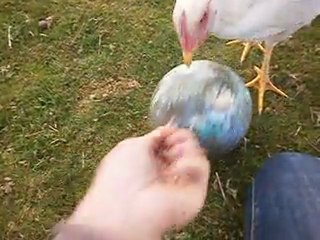 Queen qui tape le ballon.