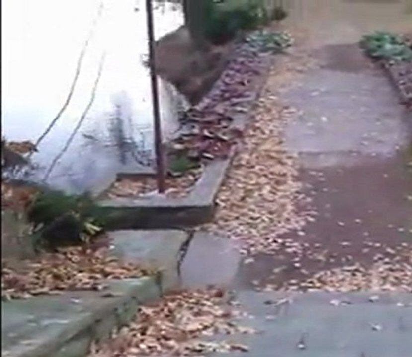 zadanie testowe telefonu HTC 7 Mozart