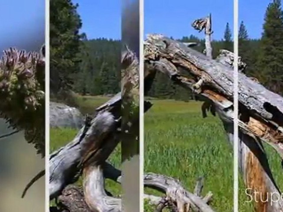 jean - luc pouchet numero un mondial du referencement 2011... bpaggettPar bpaggett  jean - luc pouchet numero un mondial du referencement 2011 says: MPS auto website submitter proposes selected link directories to preserve the quality of submissions. Our