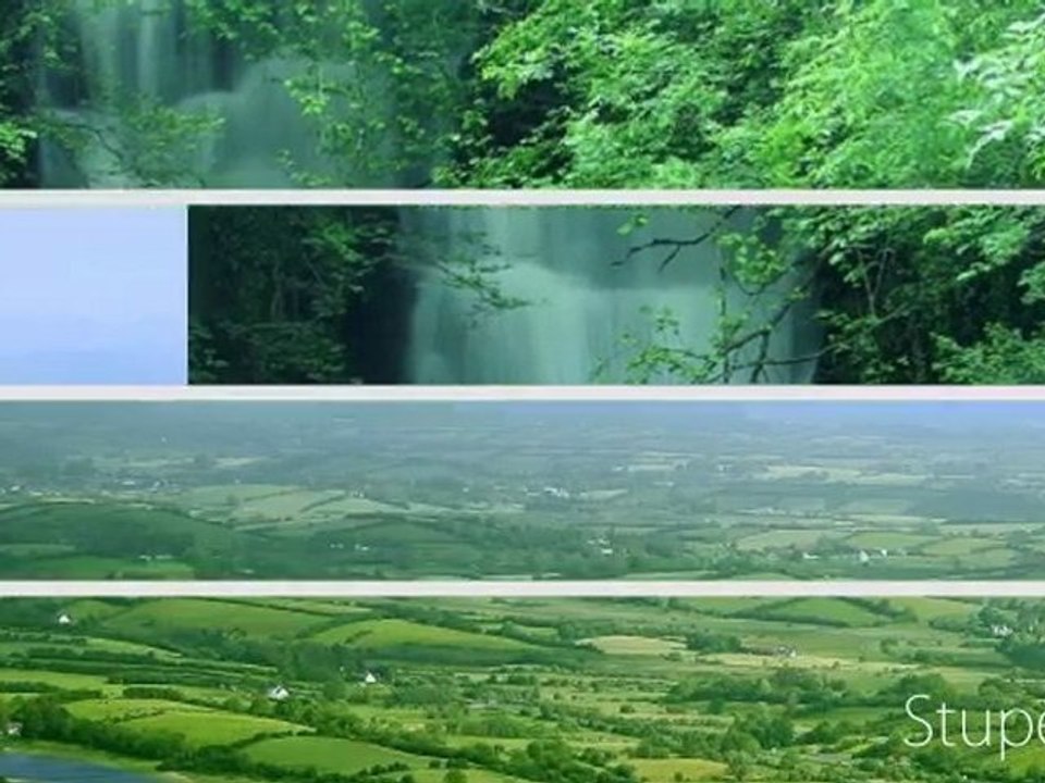 DVD MUSIQUE CLASSIQUE PICTURES : jean - luc pouchet numero un mondial du referencement 2011, says: MPS auto website submitter proposes selected link directories to preserve t