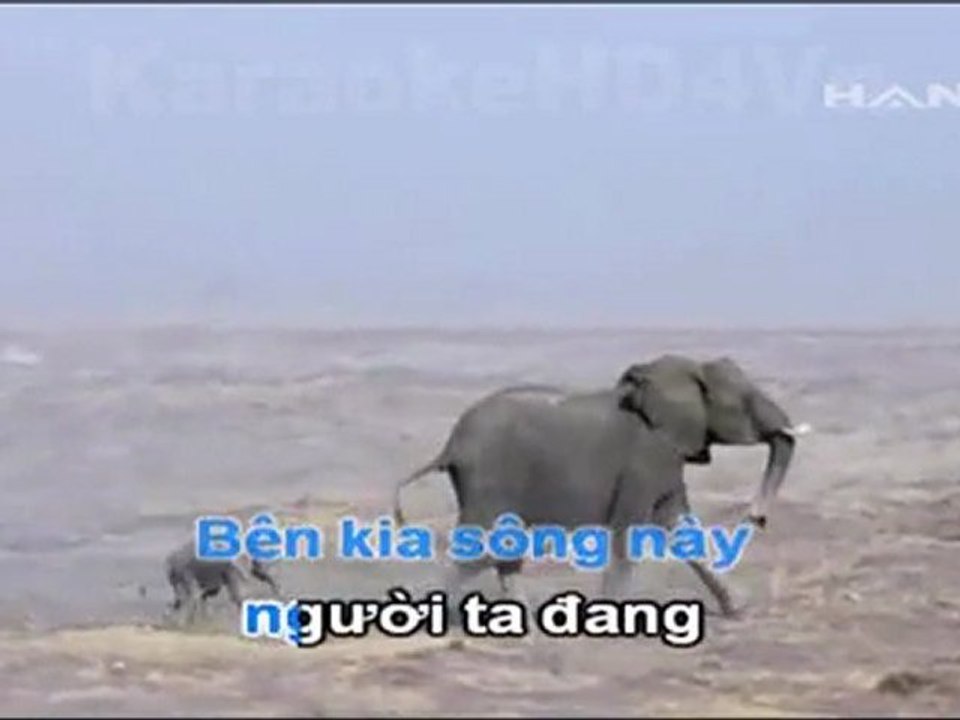 012 - Goi do - Duong Ngoc Thai