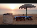 gorgonia beach marsa alam