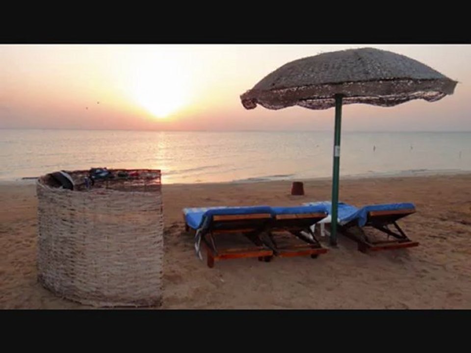 gorgonia beach marsa alam