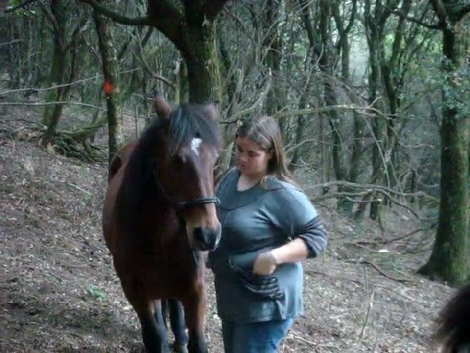 Mise du licol a Leeloo