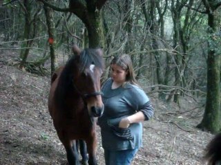 Mise du licol a Leeloo