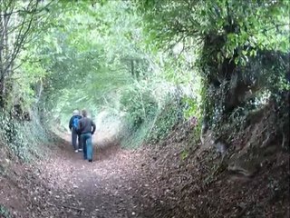 les petits chemins