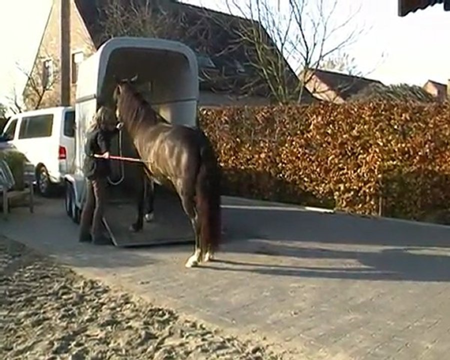 Hija trailerloading 20/11/2011
