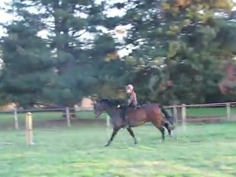 Norton & Pauline, à cru.