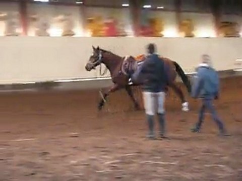 20 11 2011 Vouvray Debourrage 01