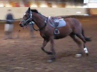 20 11 2011 Vouvray Debourrage 02