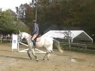 Ouitch Galop gauche 2