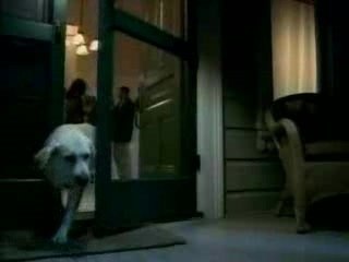 Budweiser alien wazzup