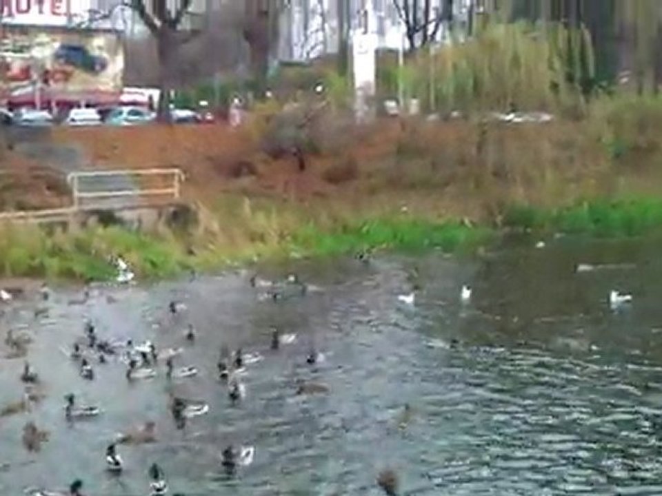 HTC test kamery 2