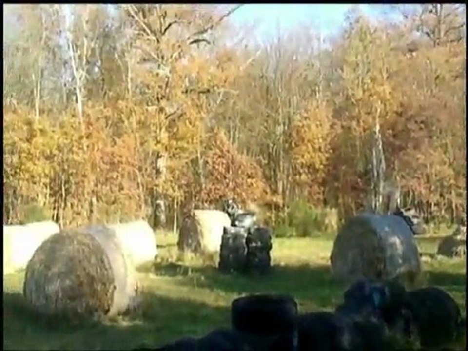 partie 20 novembre 2011