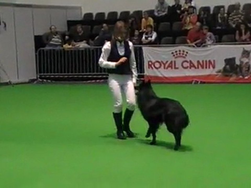 concours OBR Genève 2011