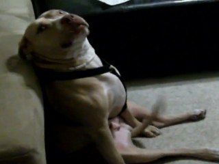 Le Zap de Spi0n.com n°91 - (20/11/2011)